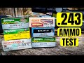 This 243 is a ringer 243 ammo test