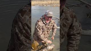 Huge Montana Pale Beaver #yawtyawt