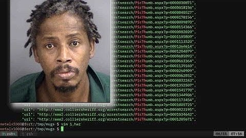 Web Scraping Mugshots with HAR JSON jq
