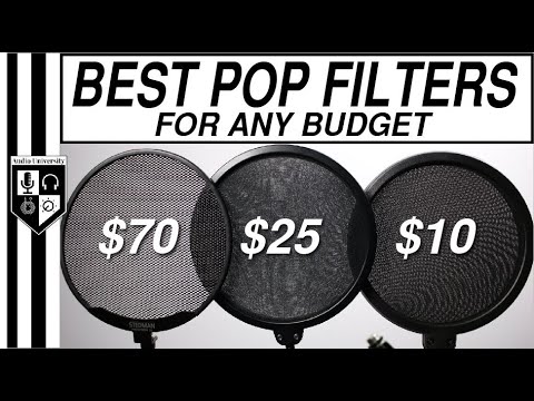 BEST MICROPHONE POP FILTER for RECORDING VOICE