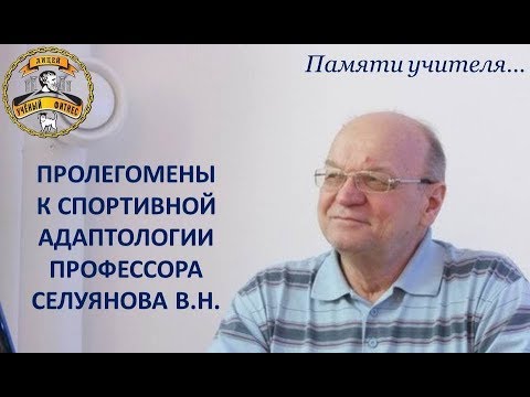 КОММЕНТАРИИ К ПОЛОЖЕНИЯМ СЕЛУЯНОВА В.Н.