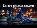 МотоБудни #6 - Катка с дерзким Harley-Davidson Softail Slim!