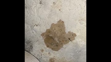 Understanding and Dealing with Efflorescence: What You Need to Know