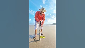 Bí Mật Về Cách Bắt Tôm Tích Sữa ở Vũng Tàu ít Người Biết