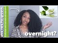 I Tried Aloe Vera & Olive Oil OVERNIGHT? | For Healthy Hair GROWTH & MOISTURE