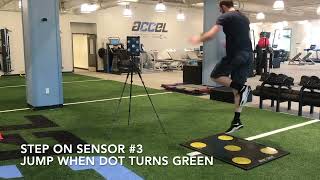 Quick Board Vertical Jumps And Drop Jumps