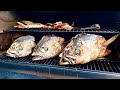 SMOKED TUNA HEADS! Catch/Clean/Cook on the Traeger Grill
