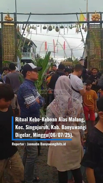Ritual Kebo-Keboan Alas Malang, Kec. Singojuruh, Kab. Banyuwangi Digelar, Minggu(06/07/25). #news