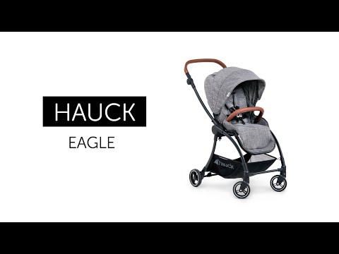 Видео: Обзор Hauck Eagle