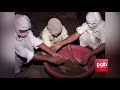 UNODC Survey Finds Opium Production Up By 87 This Year UNODC Survey Finds Opium Production Up By 87 This Year