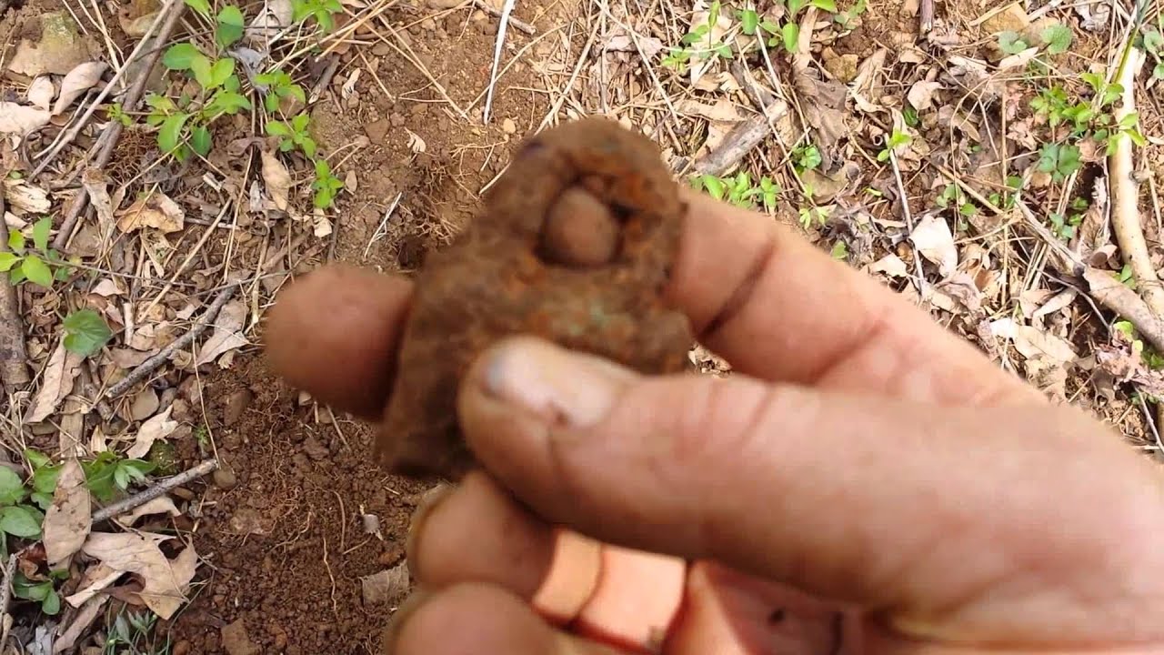 Metal Detecting Virginia Mountains AT Pro YouTube