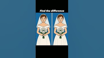 Can You Spot All the Differences Between These Two Brides? 👰🧐 #shorts #challenge