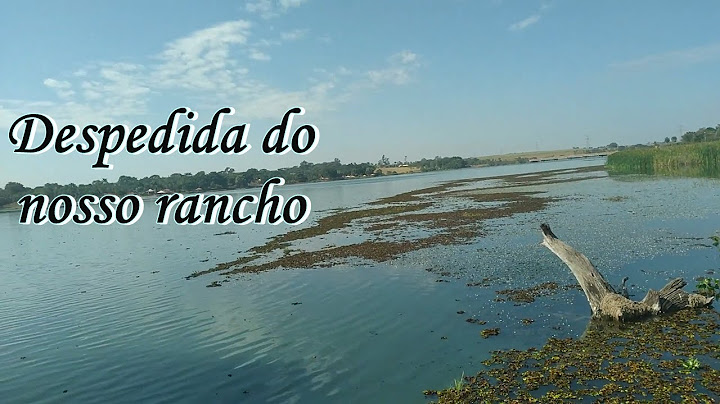Despedida do Rancho da Família-Vlog