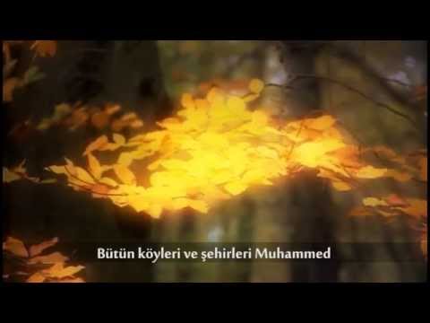 04 Muhammed taha  Muhammed (PEYGAMBER SEVDALILARI)
