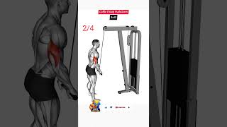 Massive Arms Superset Workout (Biceps+Triceps) For Fast Muscle Growth #shorts #gym #workout #armday