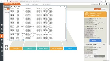Practical Oracle Data Masking with Actifio and DataVeil