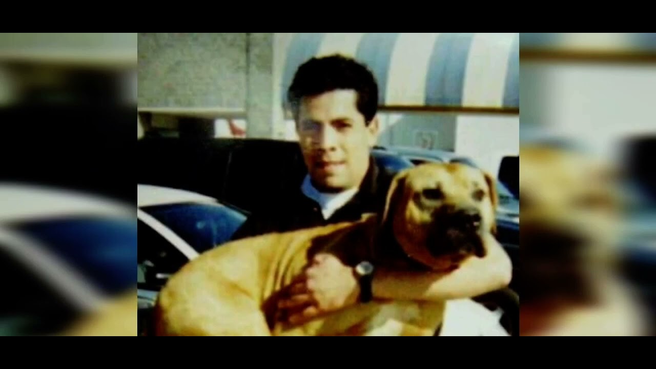 Hollingsworth dogs the shocking truth. Updates daily YouTube