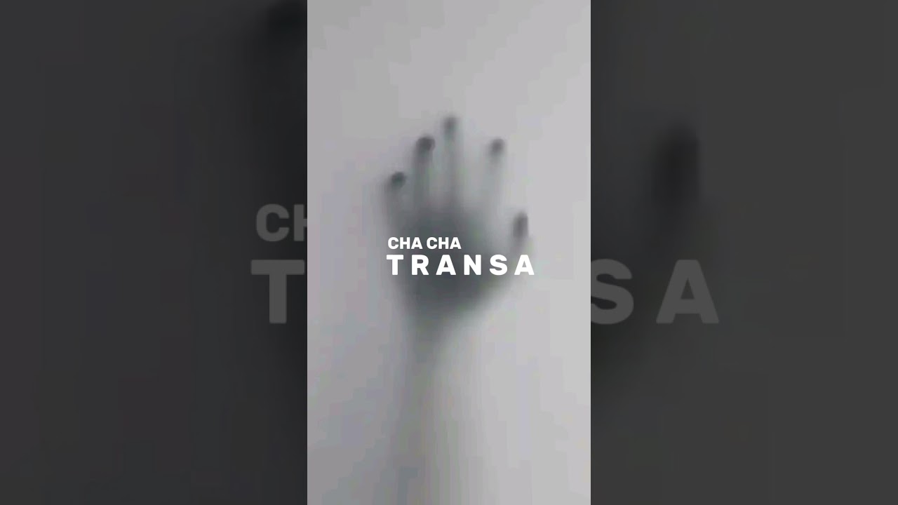 ODY TMR - SM991 SOUND - CHA CHA TRANSA 