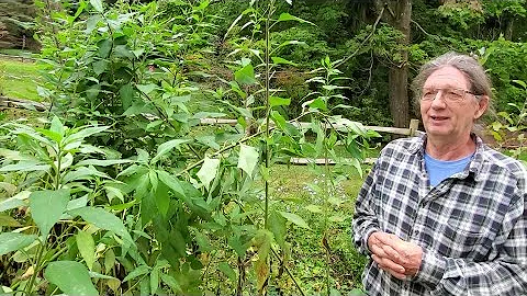 Permiculture Food Forest with Darrel Frey