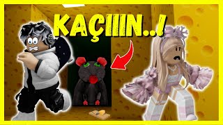 KOCA SIÇAN BIRAK PEŞİMİZİ🐭ROBLOX CHEESE ESCAPE🧀