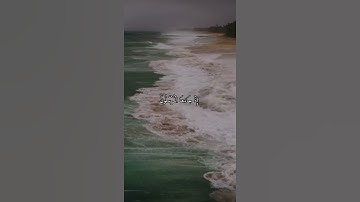 واتس اب قران كريم القارئ شريف مصطفى (سوره يس)