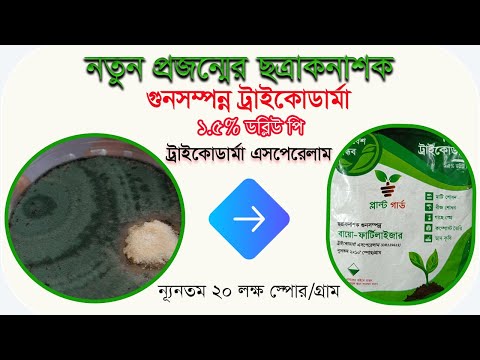 Rus ayol bilan 3gp jinsiy aloqa Porno 25 35