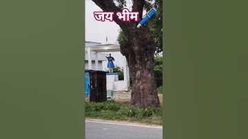 Jay bhim #babasahab #babasaheb
