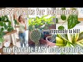 My Favorite EASY Houseplants for Beginners New Plant Parents!! (Low light, low maintenance, + more)