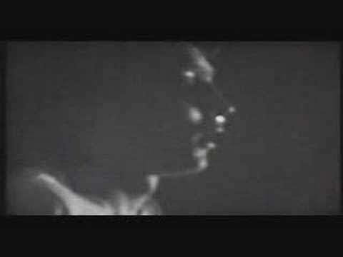 Termiti - Vjeran pas
