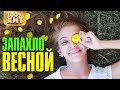 💯 ХИТ - ЗАПАХЛО ВЕСНОЙ - БЛАТНЫЕ ПЕСНИ 2019