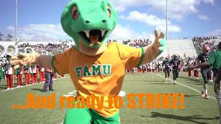 FAMU's 2017 Homecoming Recap Video