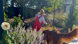 Full Spider Mites Took Over My Garden... Here's What I Did 🕷️🌿 Update