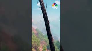 Watch | Wildfire Breaks Out In Woodland Of Latakia Province In Syria | #shorts | CNBC TV18 screenshot 2