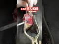 ウナギをギンギンにする方法 #protona #プロトナ #umibo
