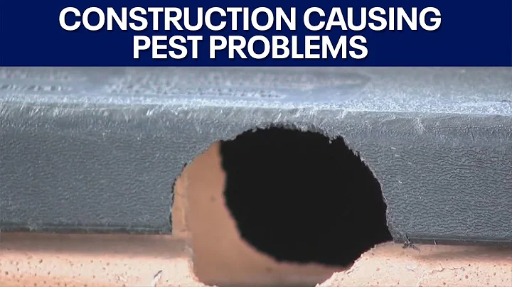 More pests in Austin-area neighborhoods due to construction | FOX 7 Austin