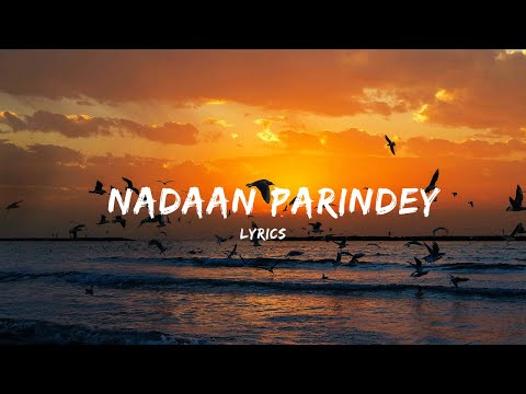 O Nadaan Parindey