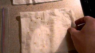 How To Germinate Seeds in a Paper Towel