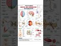 Class 10 Biology 🧠 | Control & Coordination – Important Diagrams 📚🔥