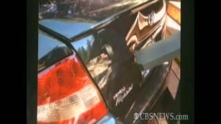 Bear steals car