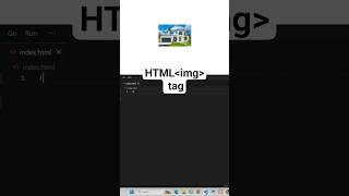 HTML img Tag Explained | Insert Images in Your Website | Code Skillzz