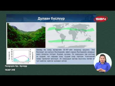 Видео: Экваторын чийглэг ой гэж юу вэ?