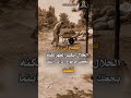 صحيح رزق الحلال يكسر الظهر لاكنه يجعلك مرفوع الرأس اشترك اكسبلور