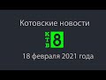 Котовские новости от 18.02.2021., Котовск, Тамбовская обл., КТВ-8