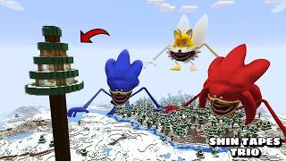 DEFENDING AGAINST SHIN SONIC, SHIN KNUCKLES, AND SHIN TAILS in Minecraft - Gameplay - Coffin Meme