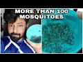 Eco friendly Mosquito machine | safe for kids | No smoke | No smell | No Refilling | No Chemicals