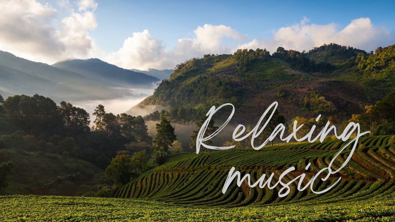 Relaxation Traditional Instrument - Rice Field And Nature