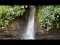 Unveiling a spectacular new waterfall at petit bordel  st vincent and the grenadines 