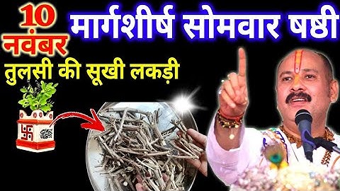 10 नवंबर मार्गशीर्ष सोमवार षष्ठी तिथि को तुलसी की सुखी लकड़ी वाला उपाय जरुर करे || Pradeep Ji Mishra 