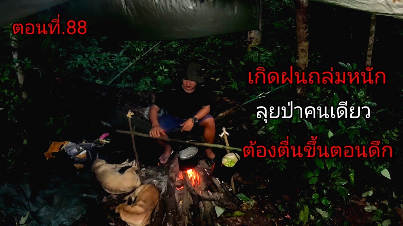 เดินทางเข้าป่าลึกระหว่างทางเกิดฝนถล่มหนัก ต้องตื่นขึ้นมาในยามวิกาล ตอนที่.88