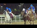 RM 24 Al Rayyan Race 7 Sand Championships